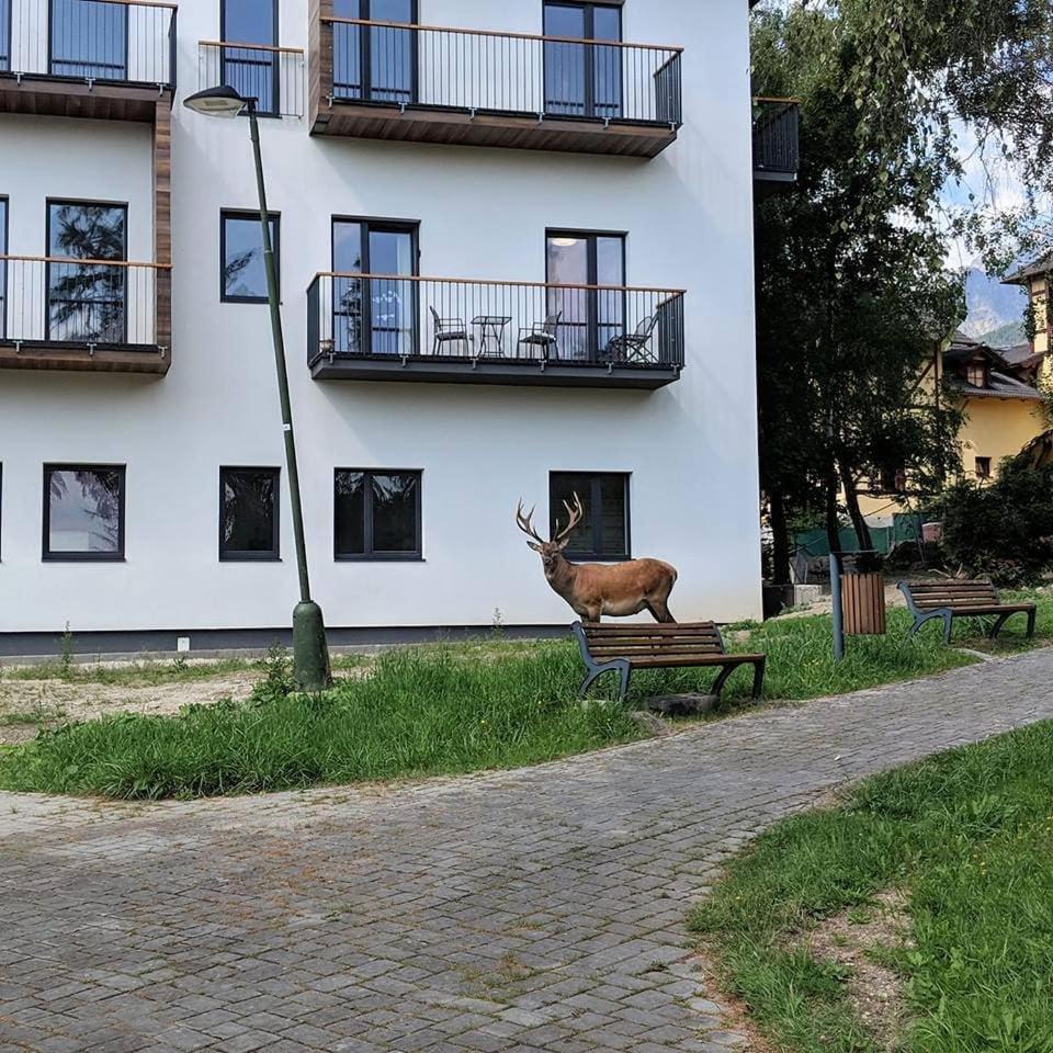 Apartman Hory - V Srdci Tatier Vysoke Tatry Bagian luar foto