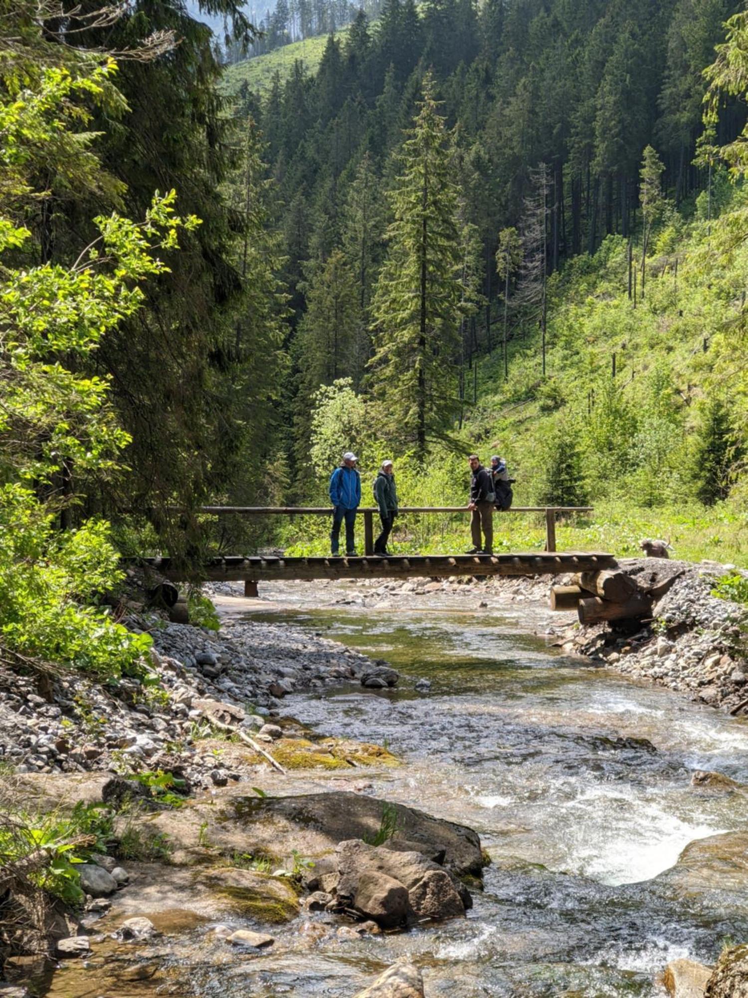 Apartman Hory - V Srdci Tatier Vysoke Tatry Bagian luar foto